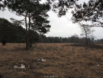 Roderveld